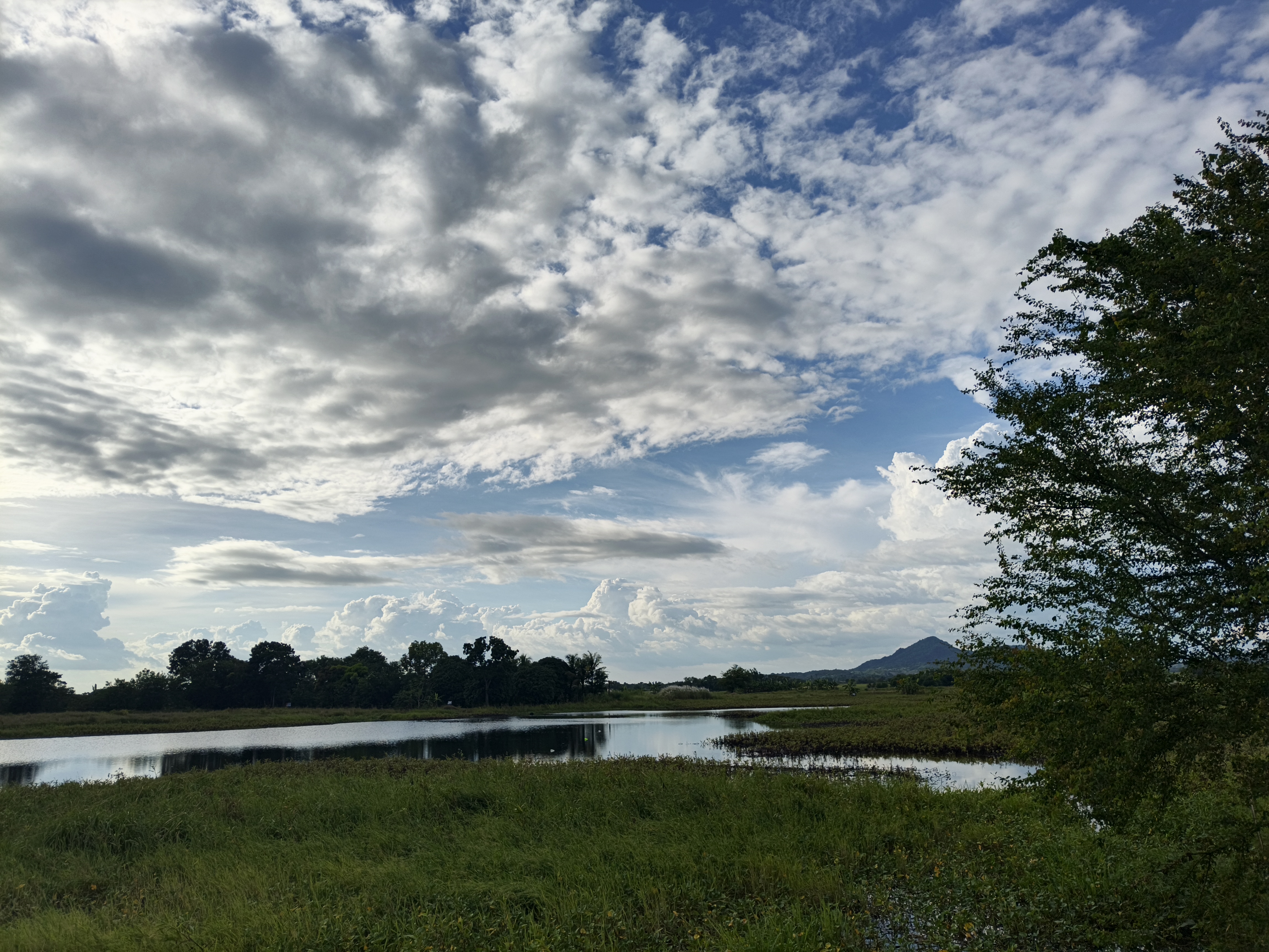 Lake 6